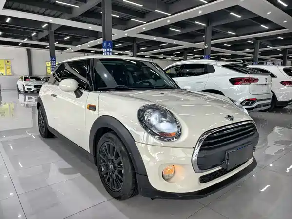 MINI 2018