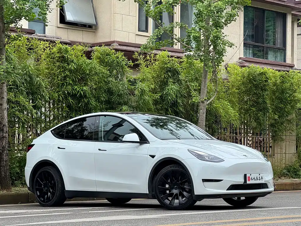 Tesla Model Y 2021 — фото 13