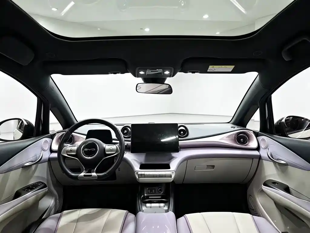 BYD Dolphin 2022