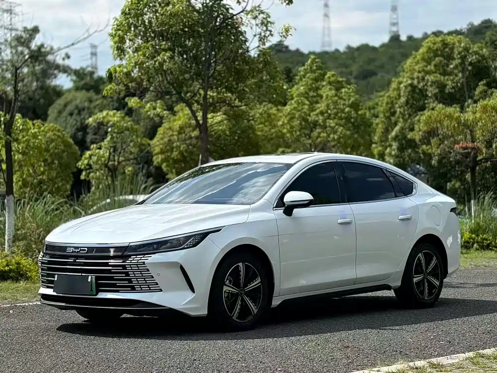 BYD Destroyer 05 2023 — фото 1