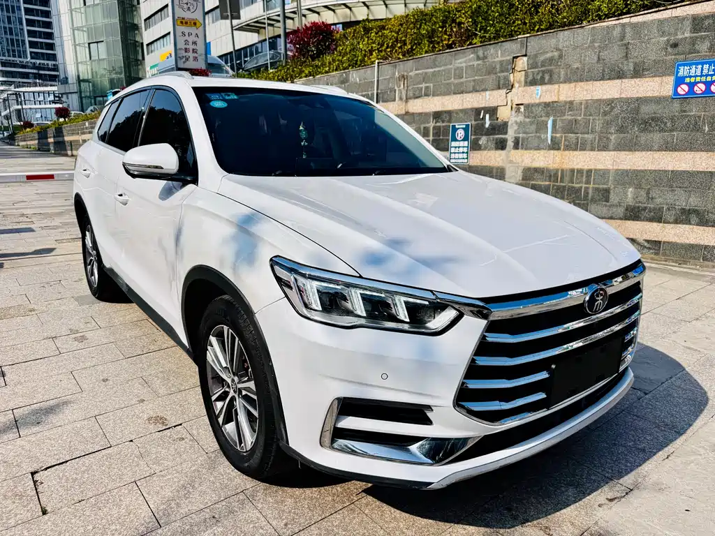 BYD Pro 2020 — фото 4