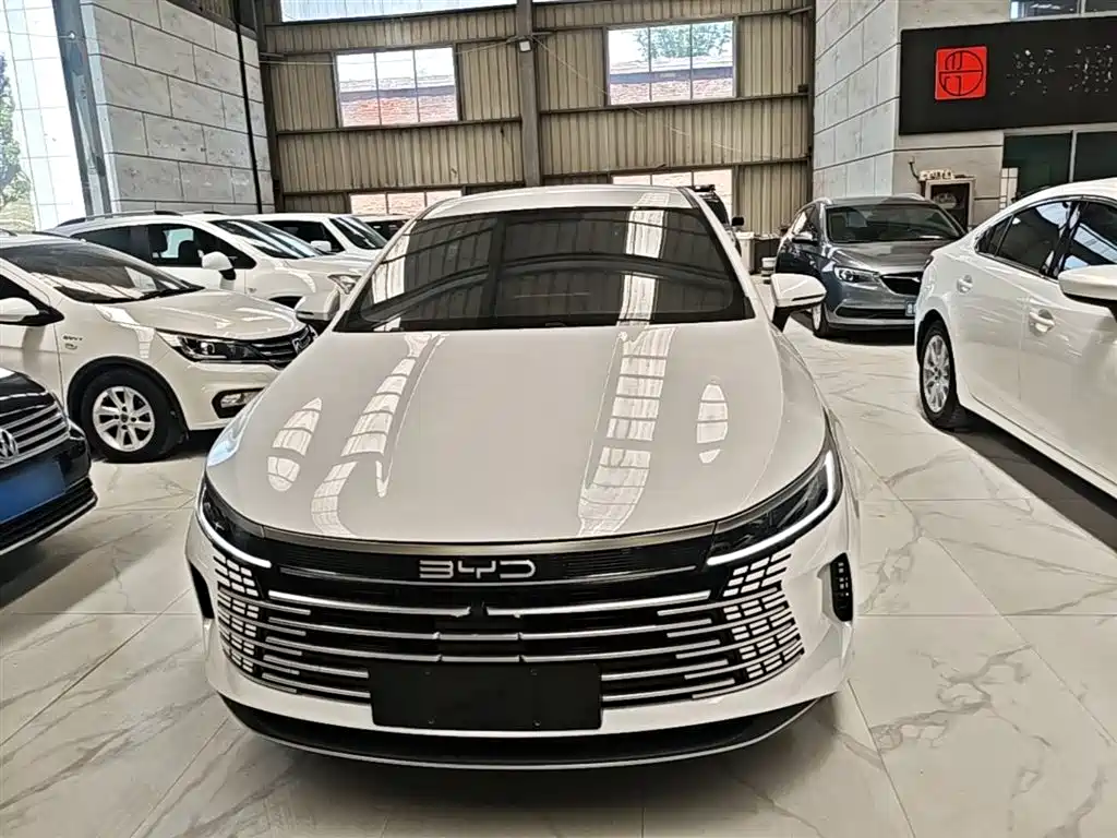 BYD Destroyer 05 2024 — фото 3