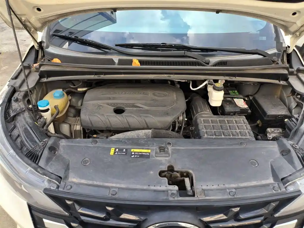 GAC Motor Trumpchi M6 2021 — фото 11