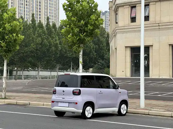 Zhidou Rainbow 2025