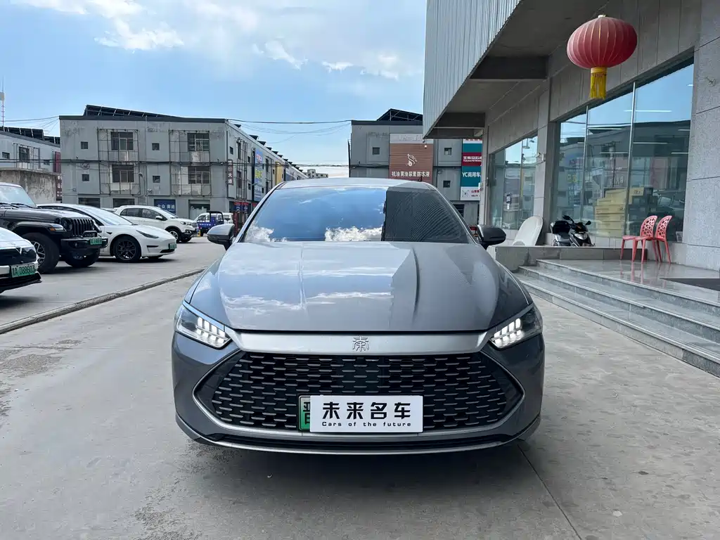 BYD Qin PLUS 2024 — фото 2