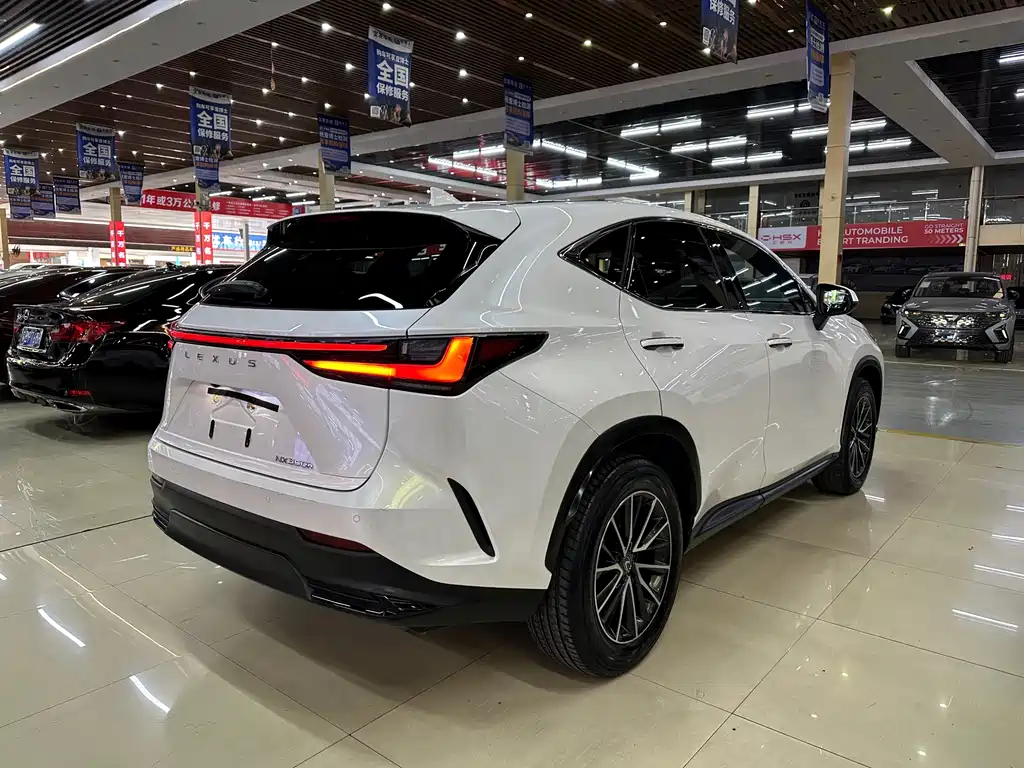Lexus NX 2023 — фото 7
