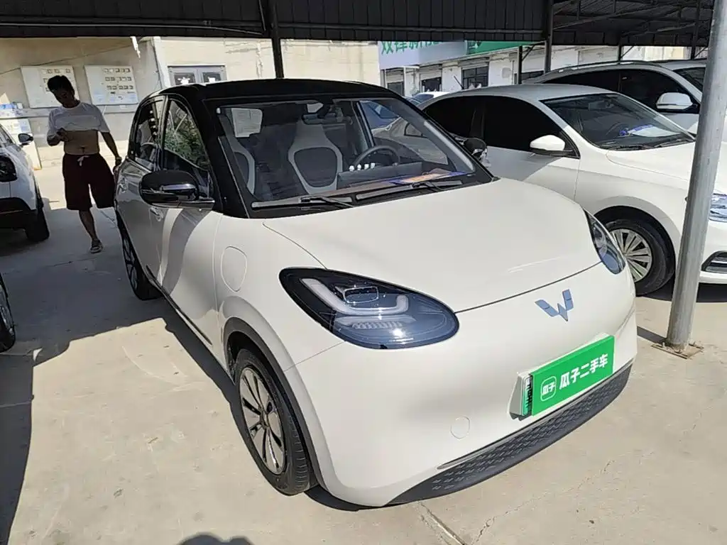 Wuling Bingo 2024