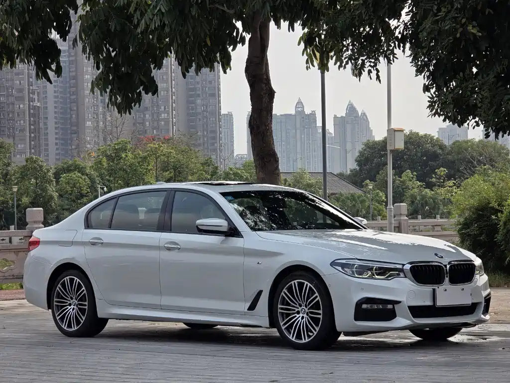 BMW 5 Series 2017 — фото 3