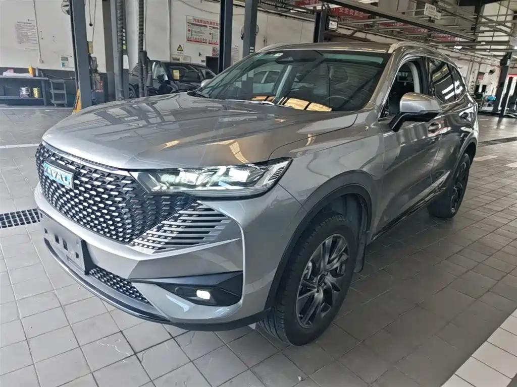 Haval H6 New Energy 2023 — фото 2