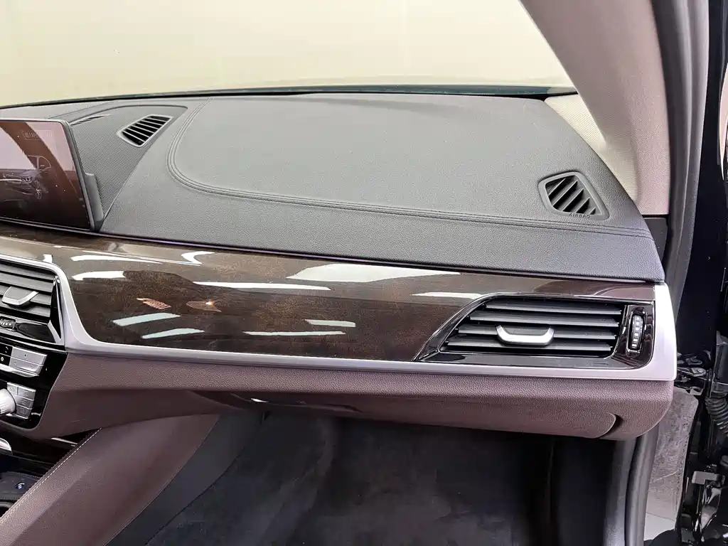 BMW 5 Series 2019 — фото 19
