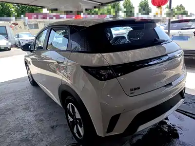 BYD Dolphin 2026