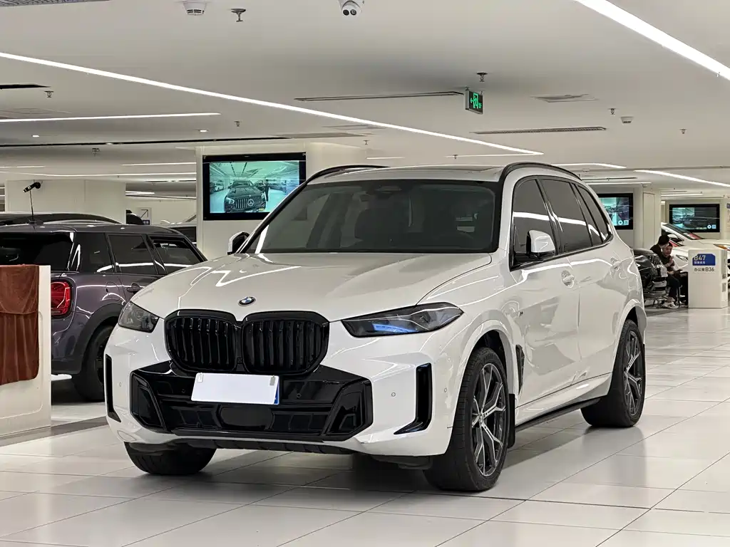 BMW X5 2024