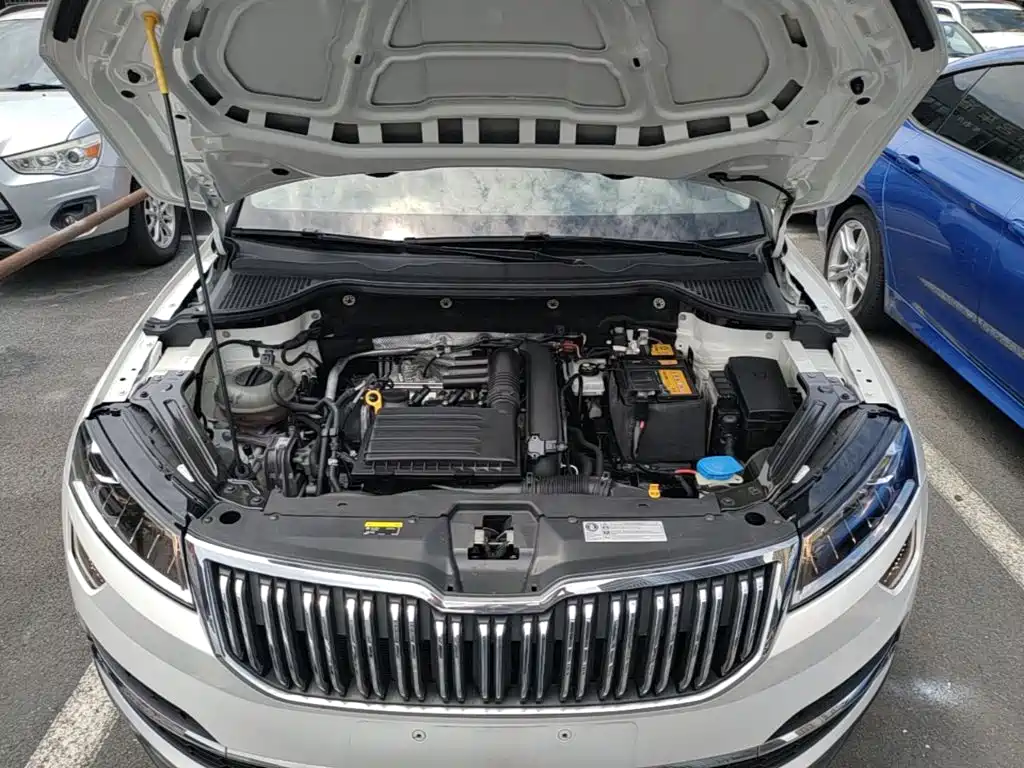 Skoda Korok 2019 — фото 20