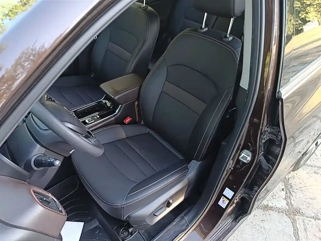 Aion Trumpchi GE3 2019 — фото 15
