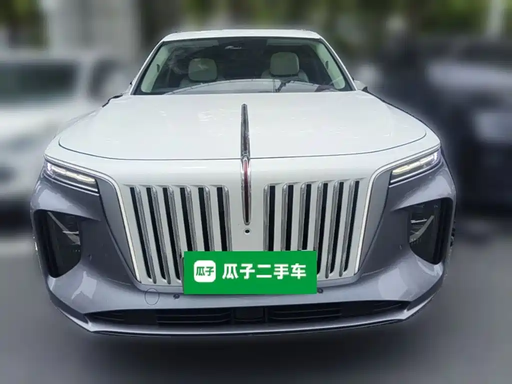 Hongqi E-HS9 2021