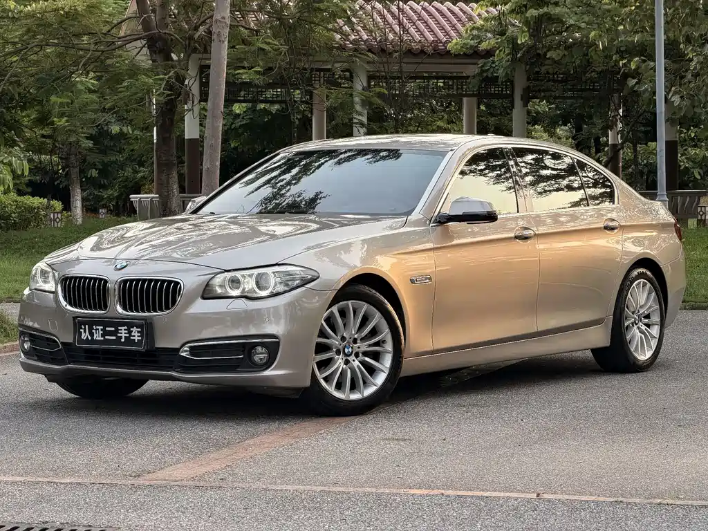 BMW 5 Series 2015