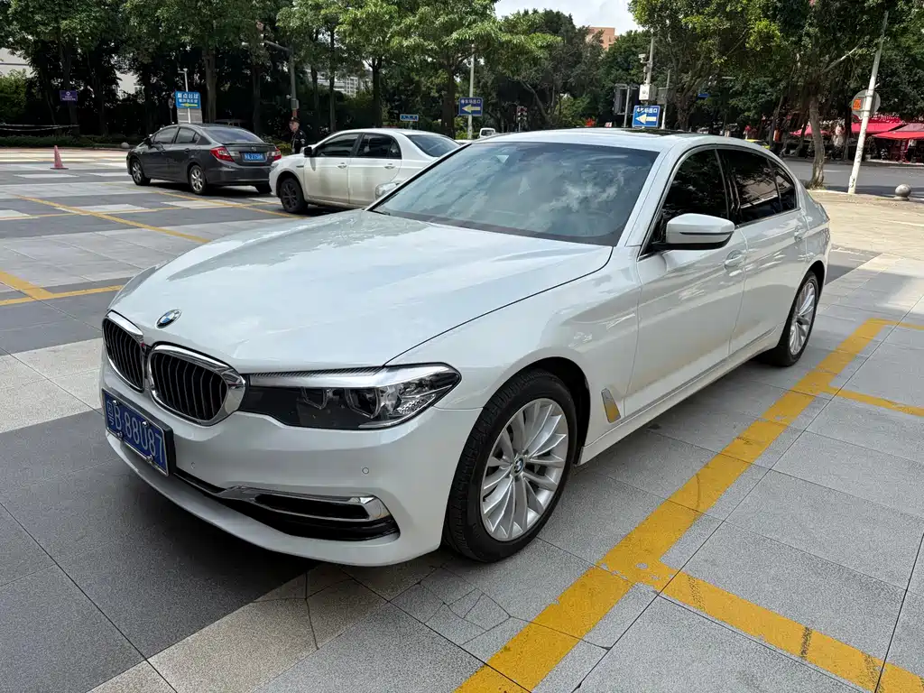 BMW 5 Series 2019