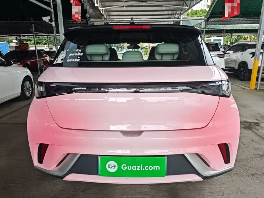 BYD Dolphin 2022