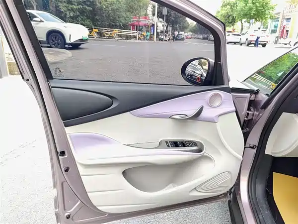 BYD Dolphin 2021