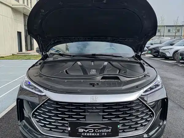 BYD Tang New Energy 2025