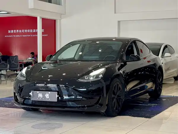 Tesla Model 3 2021