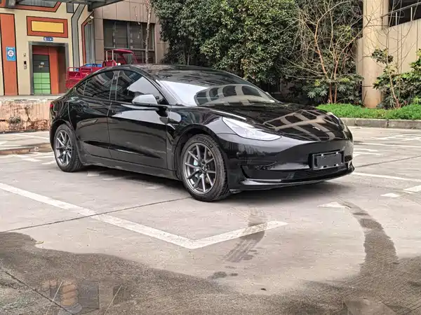 Tesla Model 3 2021