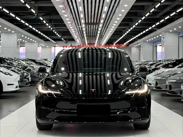 Tesla Model 3 2025