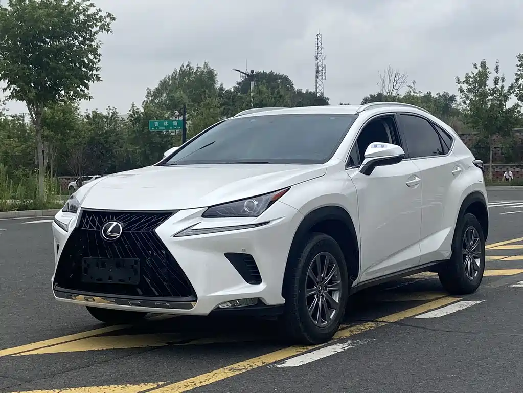 Lexus NX 2020 — фото 1