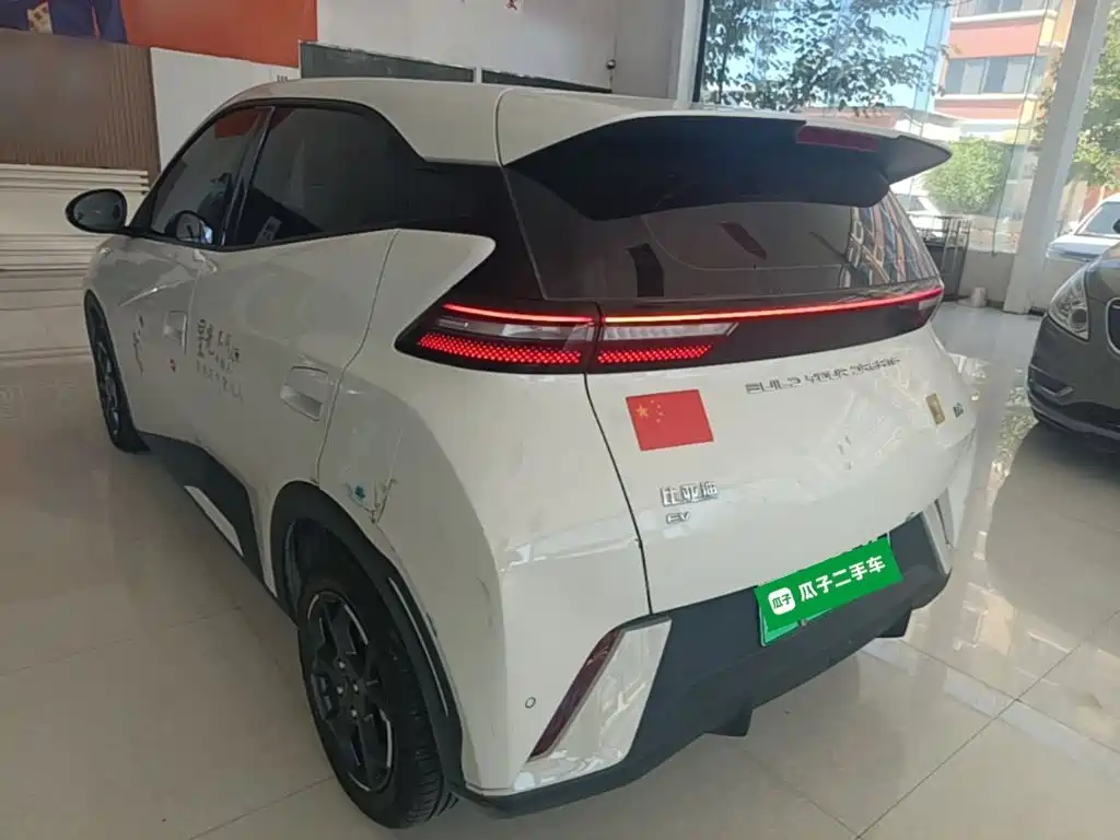 BYD Seagull 2024
