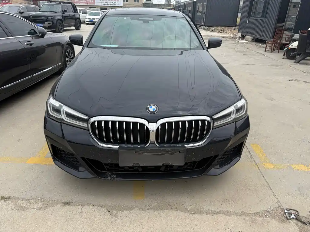 BMW 5 Series New Energy 2021 — фото 2
