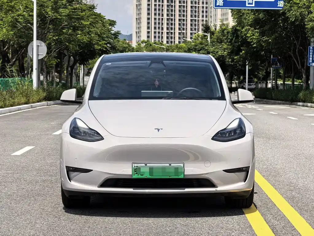 Tesla Model Y 2021 — фото 3