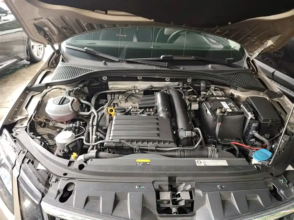 Skoda Octavia 2019 — фото 20