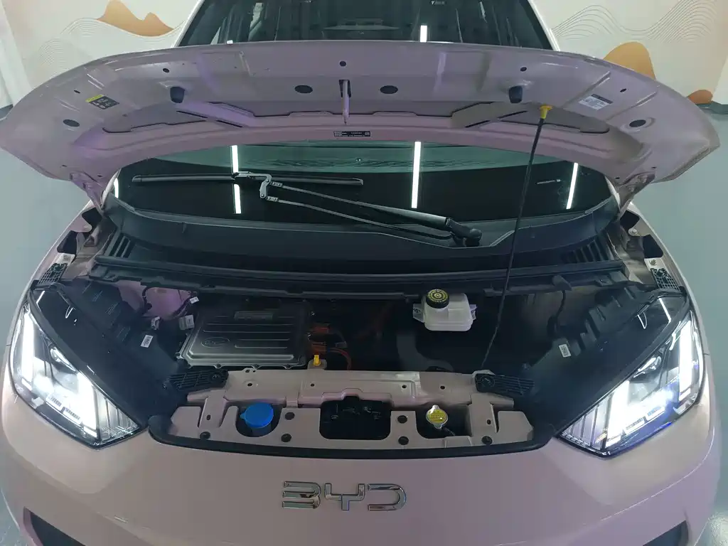 BYD Seagull 2025