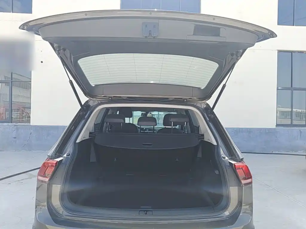 Volkswagen Tiguan L 2020 — фото 19