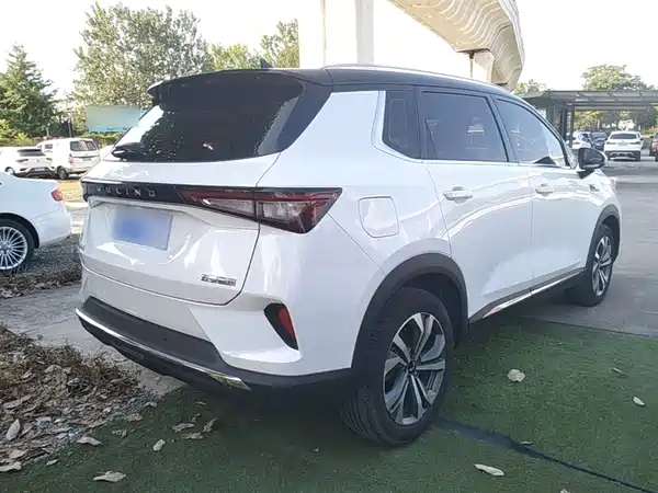 Wuling Star 2021