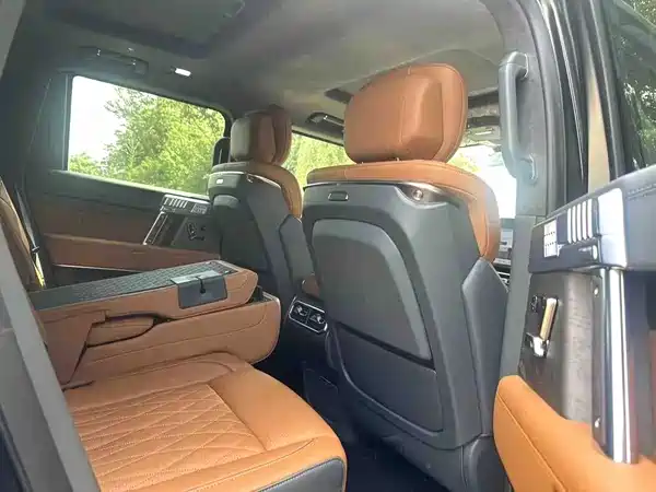 Mengshi 917 2026