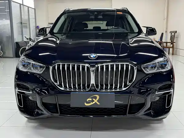 BMW X5 2022