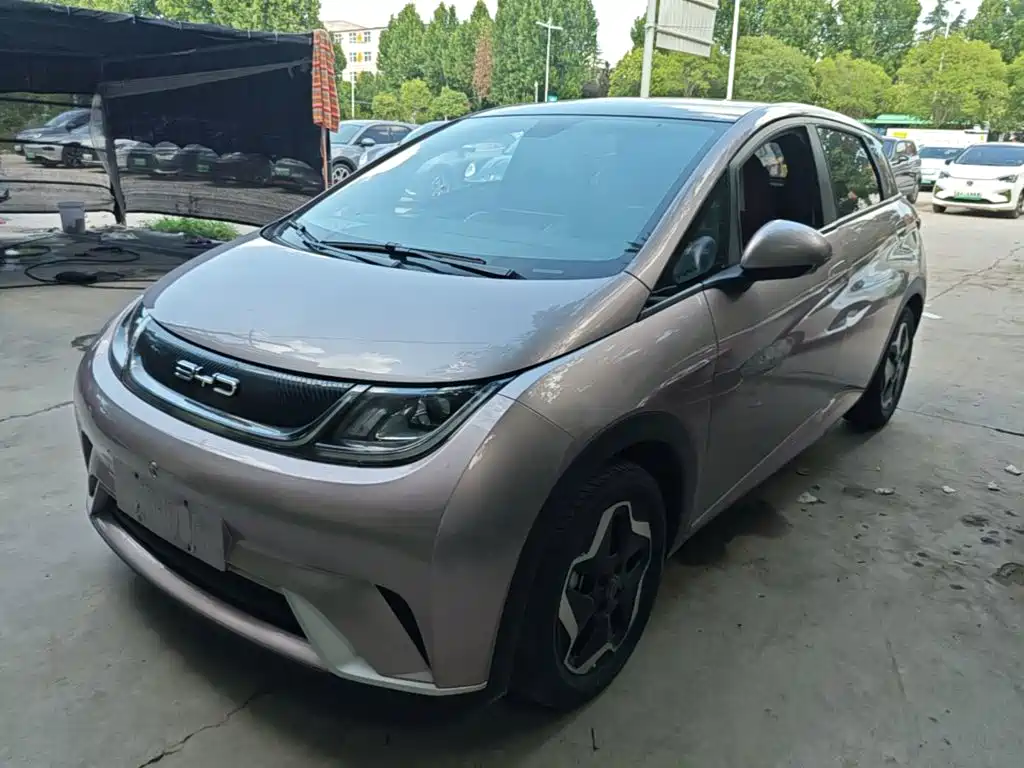 BYD Dolphin 2022