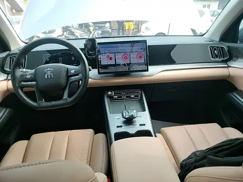 BYD Song Pro New Energy 2024 — фото 10