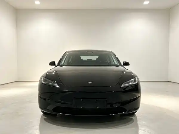 Tesla Model 3 2025