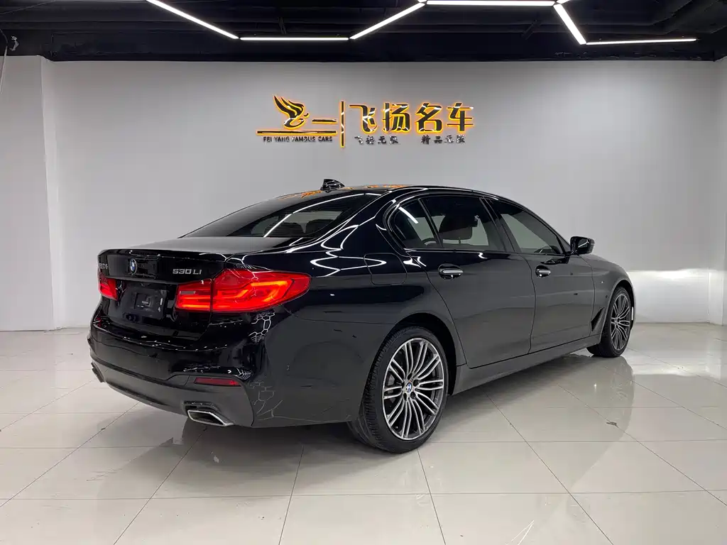 BMW 5 Series 2018 — фото 16