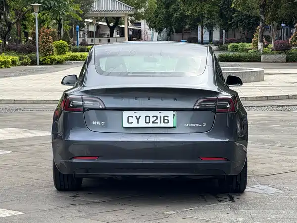 Tesla Model 3 2021