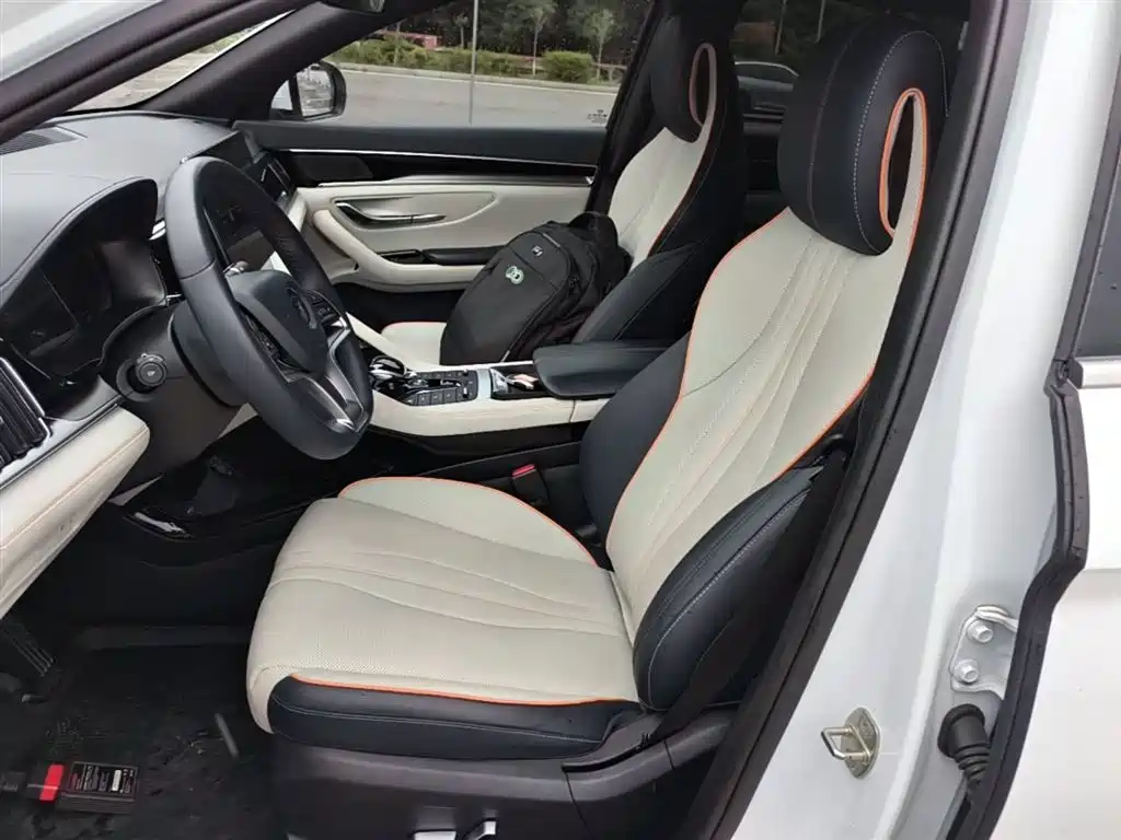 BYD PLUS New Energy 2022 — фото 15