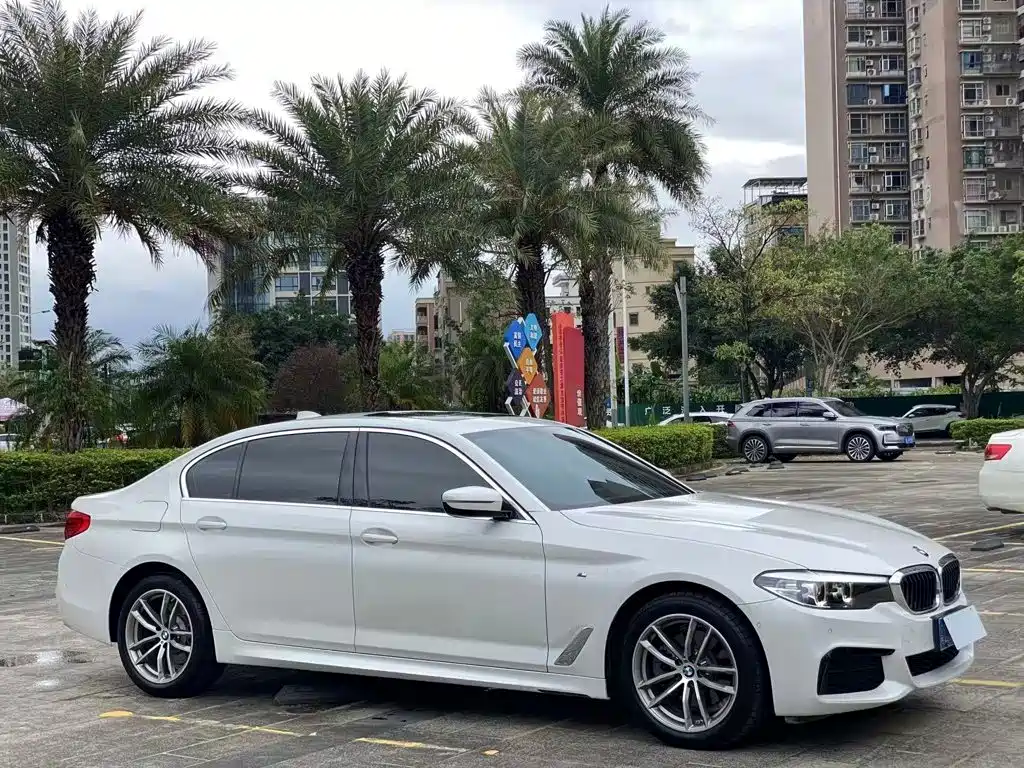 BMW 5 Series 2020