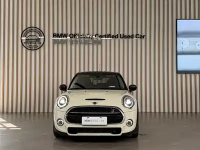 MINI MINI 2019