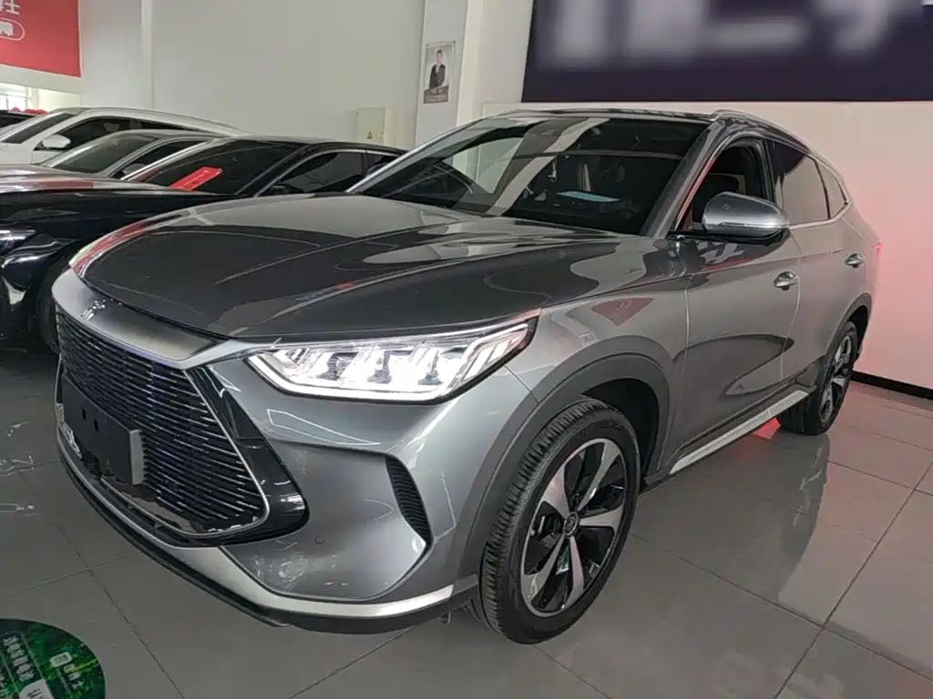 BYD Song PLUS New Energy 2022 — фото 1