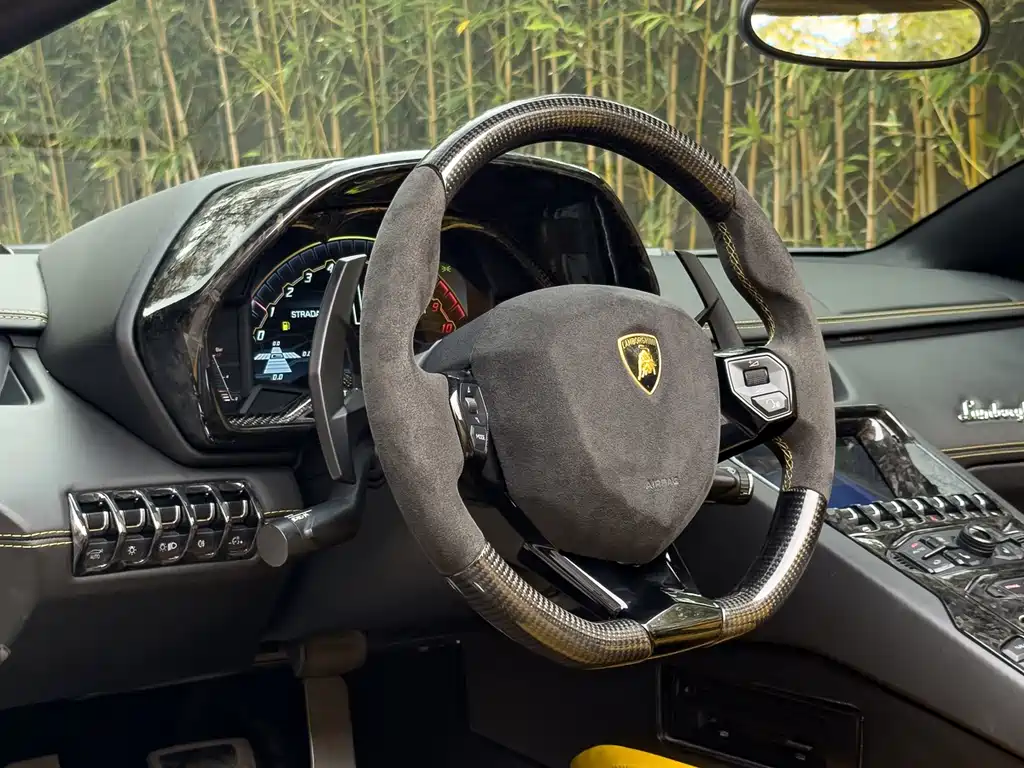 Lamborghini Aventador 2016 — фото 17