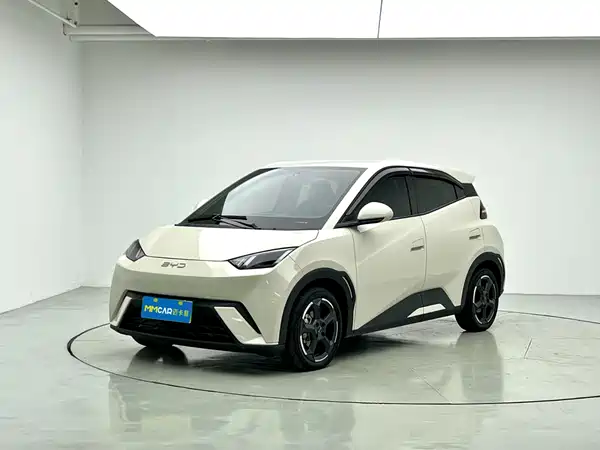 BYD Seagull 2024