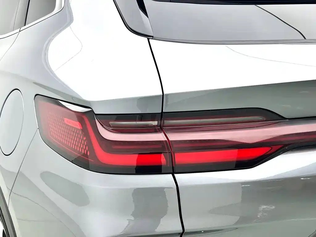 BYD Song PLUS New Energy 2025 — фото 3