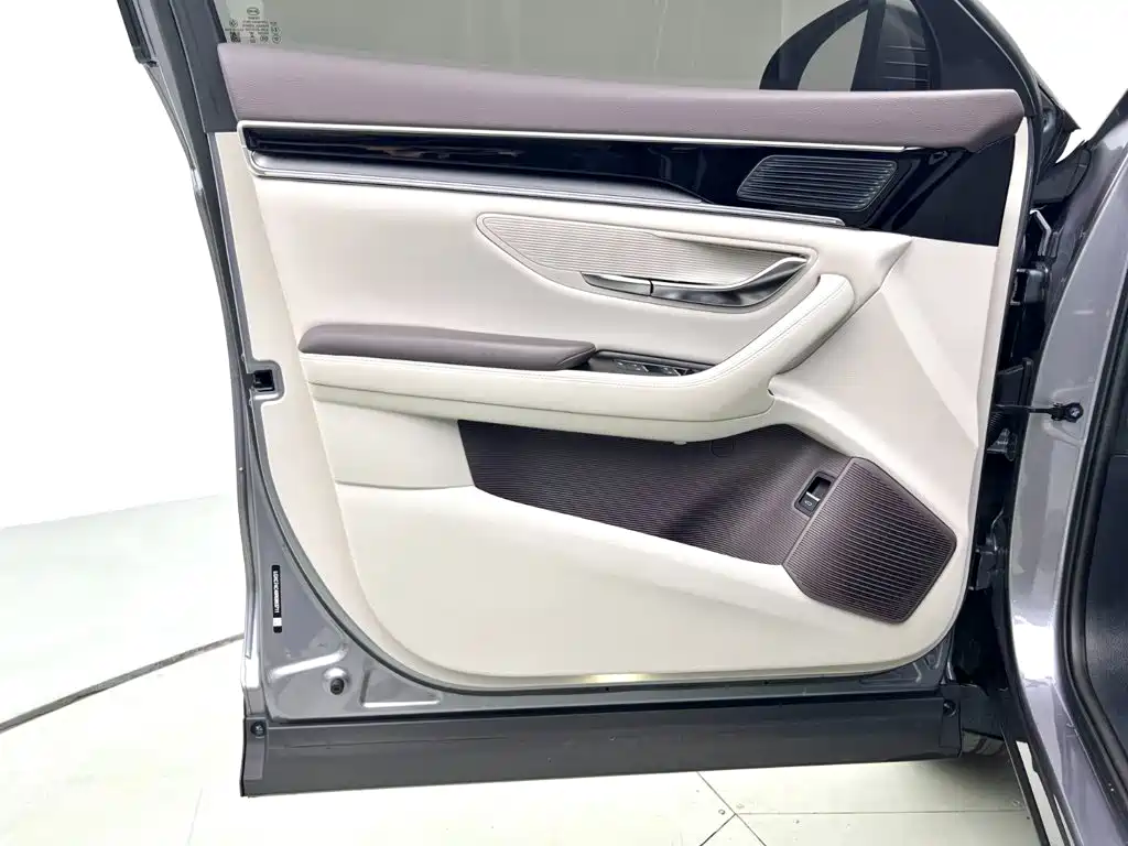 BYD Song PLUS New Energy 2025 — фото 11